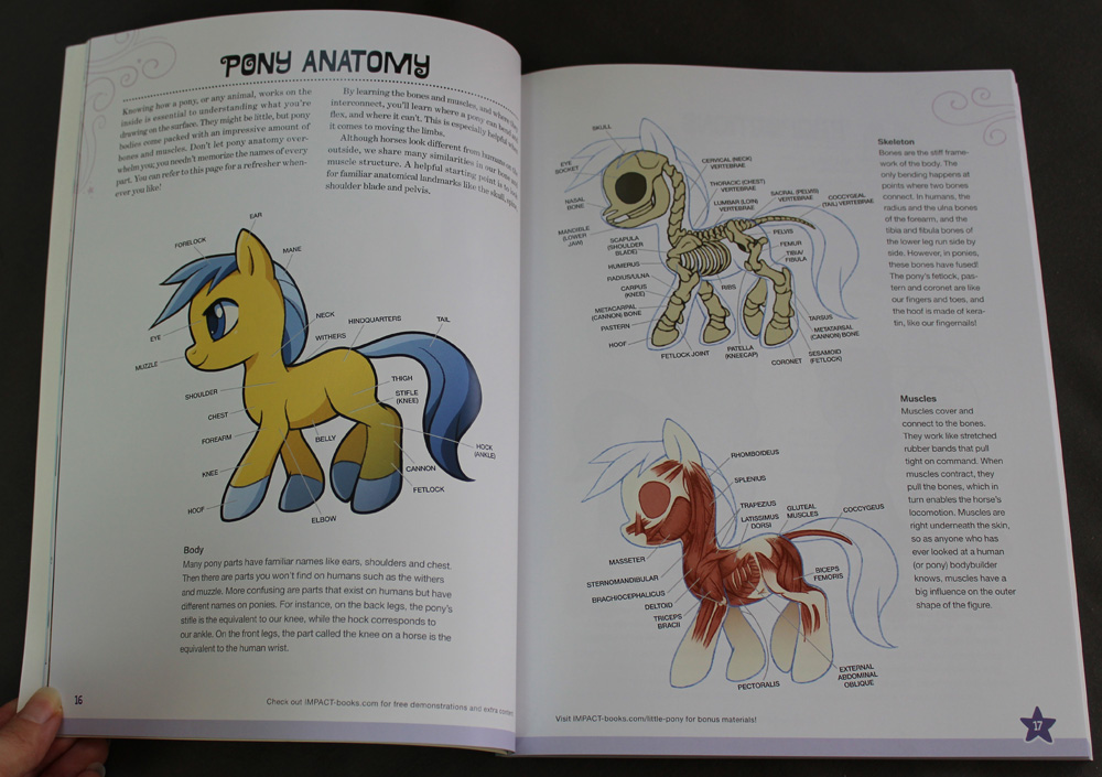 1000x705 the art of jared lindsay tutorials - Horse Drawing Book