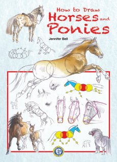 230x318 how to draw horses and ponies jennifer bell - Horse Drawing Book