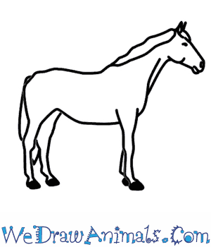 300x350 How To Draw A Horse - Horse Drawing Easy