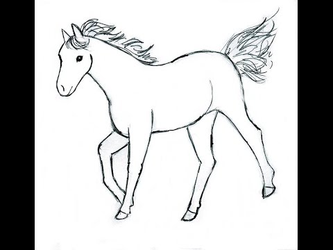 480x360 How To Draw A Horse - Horse Drawing Easy