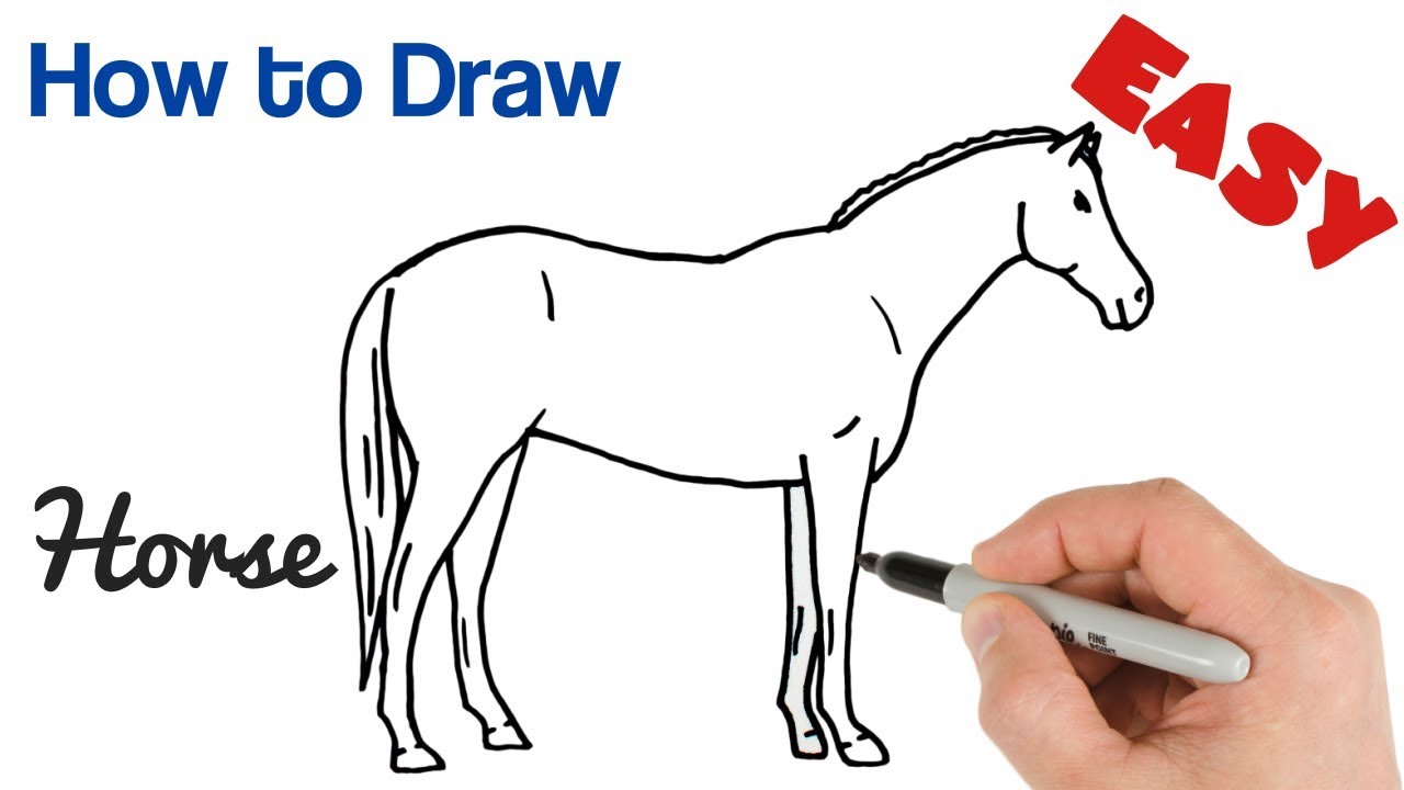 1280x720 How To Draw A Horse Easy Step - Horse Drawing Easy