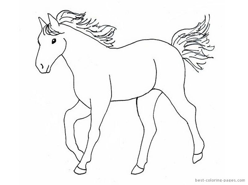 801x600 Simple Horse Drawings For Kids Images Pictures - Horse Drawing Easy