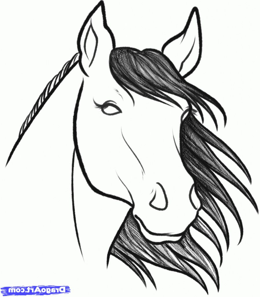 899x1024 Easy To Draw Horse Head How To Draw A Horse Head, Stepstep, Farm - Horse Drawing Easy