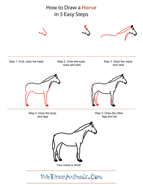 600x776 How To Draw A Horse - Horse Drawing Easy Step By Step