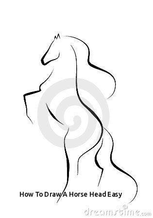315x450 How To Draw A Horse Head Easy Best Horse Drawings Images - Horse Drawing Easy Step By Step