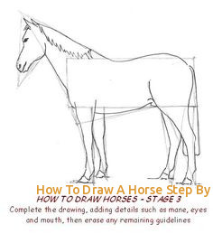 236x259 How To Draw A Horse Step - Horse Drawing Easy Step By Step