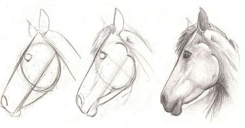 846x444 How To Draw A Horse Step - Horse Drawing Easy Step By Step