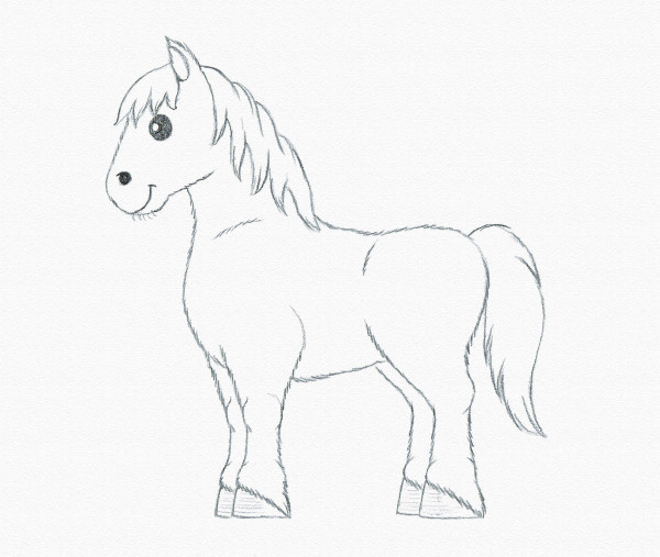 600x507 How To Draw A Realistic Horse Horses Step - Horse Drawing Easy Step By Step