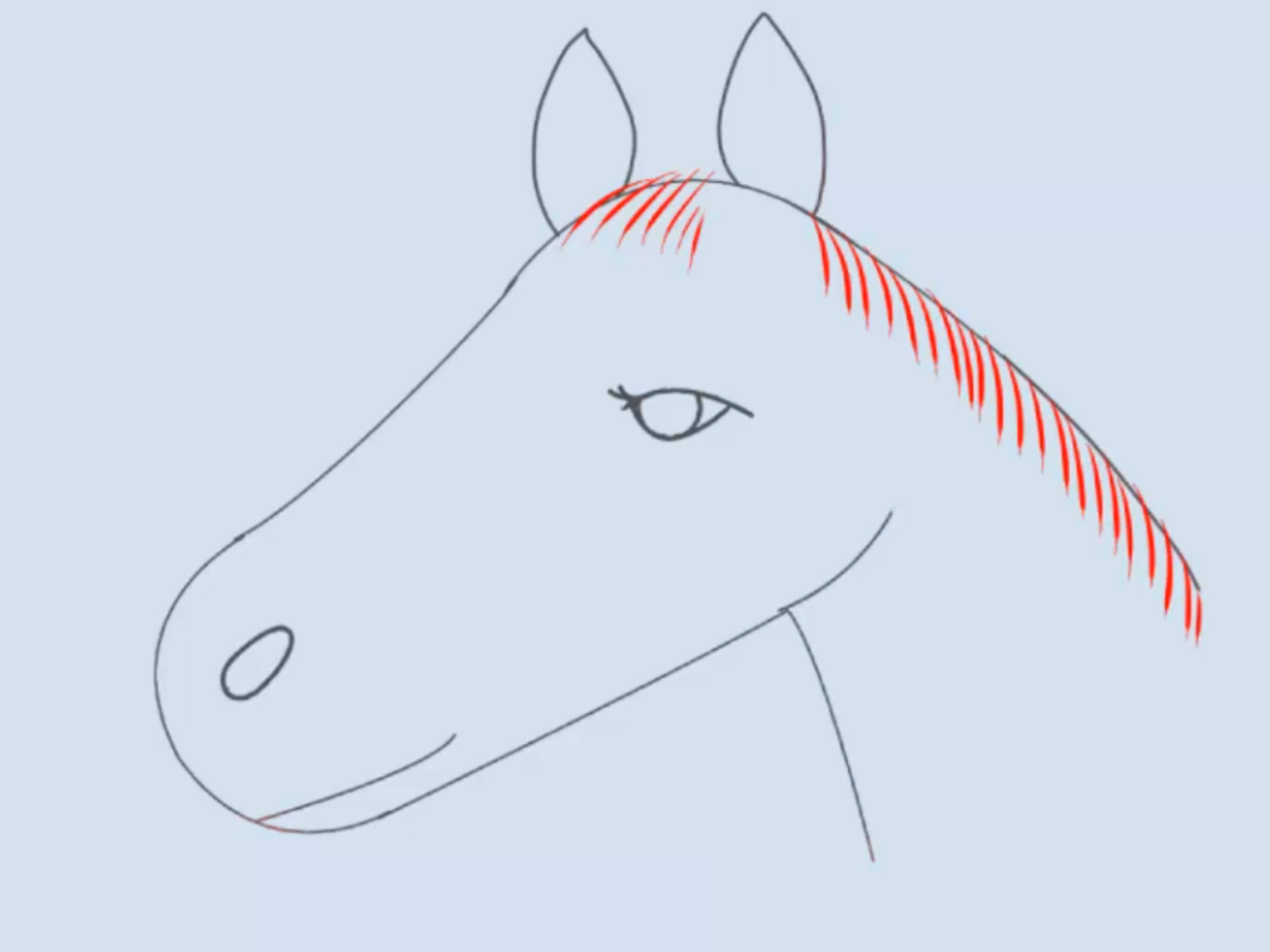 3200x2400 How To Draw A Horse Head Steps - Horse Drawing Easy Step By Step