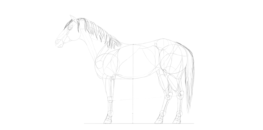850x420 How To Draw A Horse Step - Horse Drawing Easy Step By Step