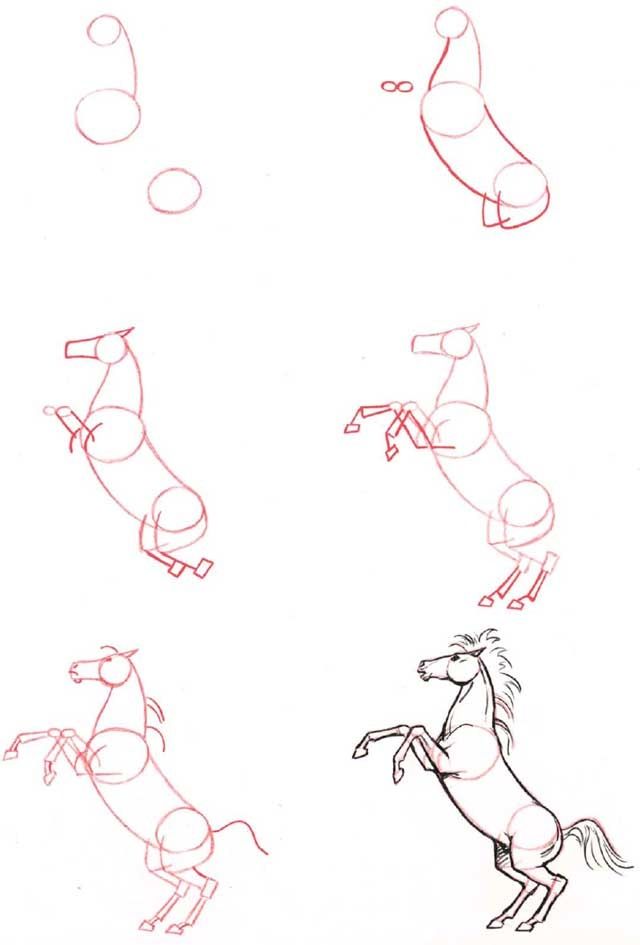 640x945 How To Draw A Horse Rearing - Horse Drawing Easy Step By Step