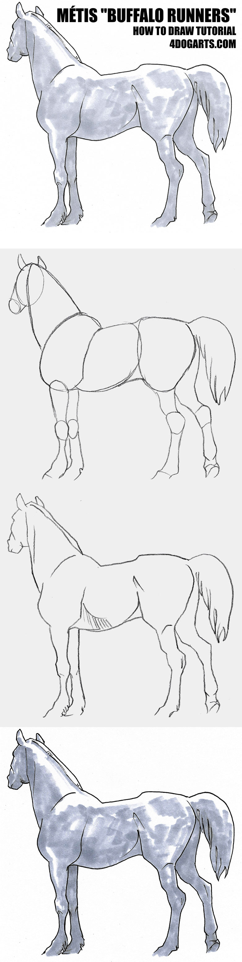 782x3100 How To Draw Buffalo Runner Horse - Horse Drawing Easy Step By Step