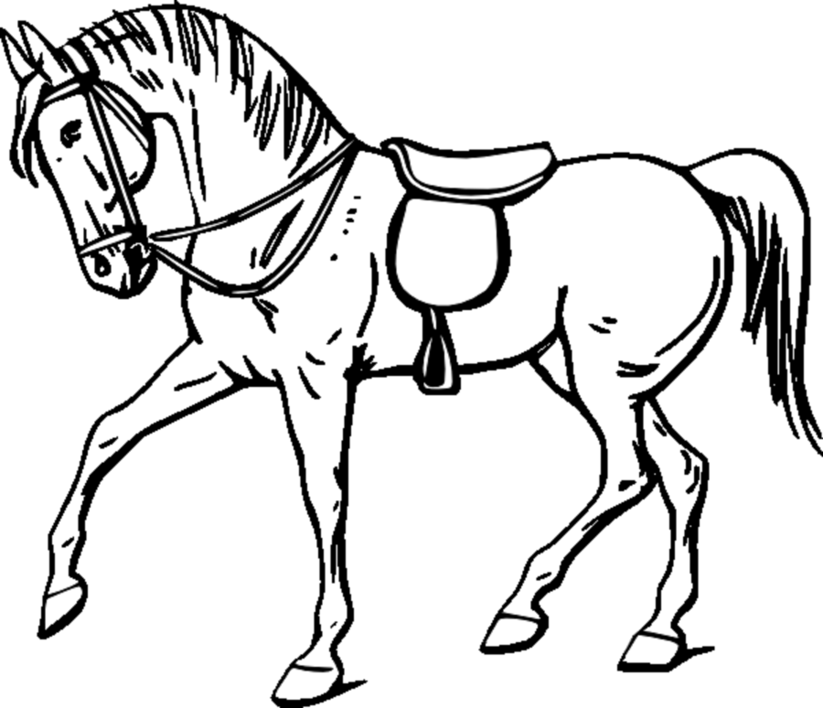 900x774 Horse, Drawing, Child, Transparent Png Image Clipart Free Download - Horse Drawing For Kids