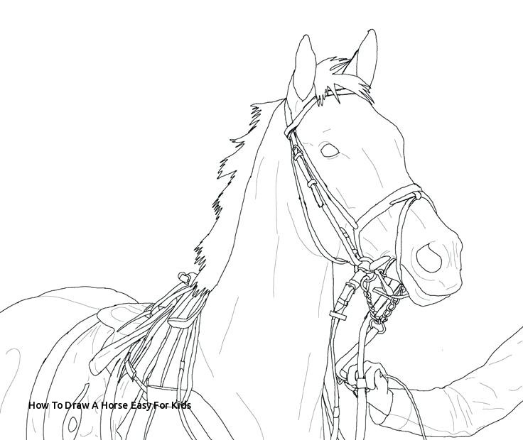 736x620 How To Draw A Horse Easy For Kids Knight Horse Drawing - Horse Drawing For Kids