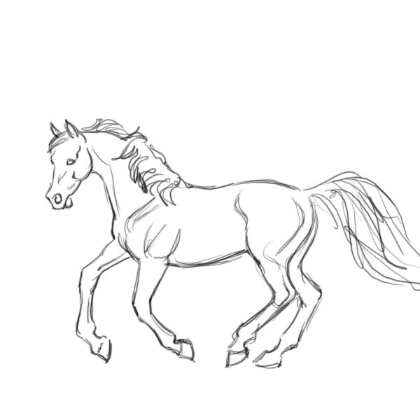 600x600 Lovely Design How To Draw A Wild Horse Drawing At Getdrawings Com - Horse Drawing Game
