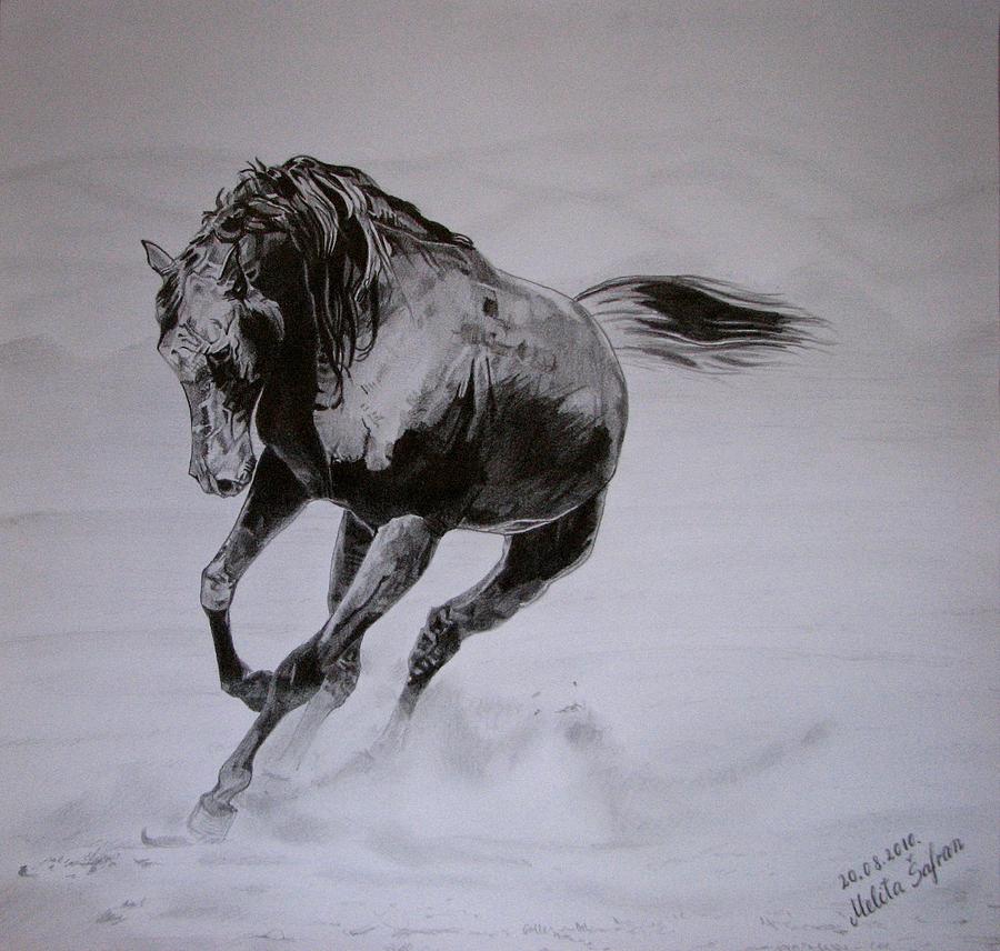 900x856 Morning Game Drawing - Horse Drawing Game