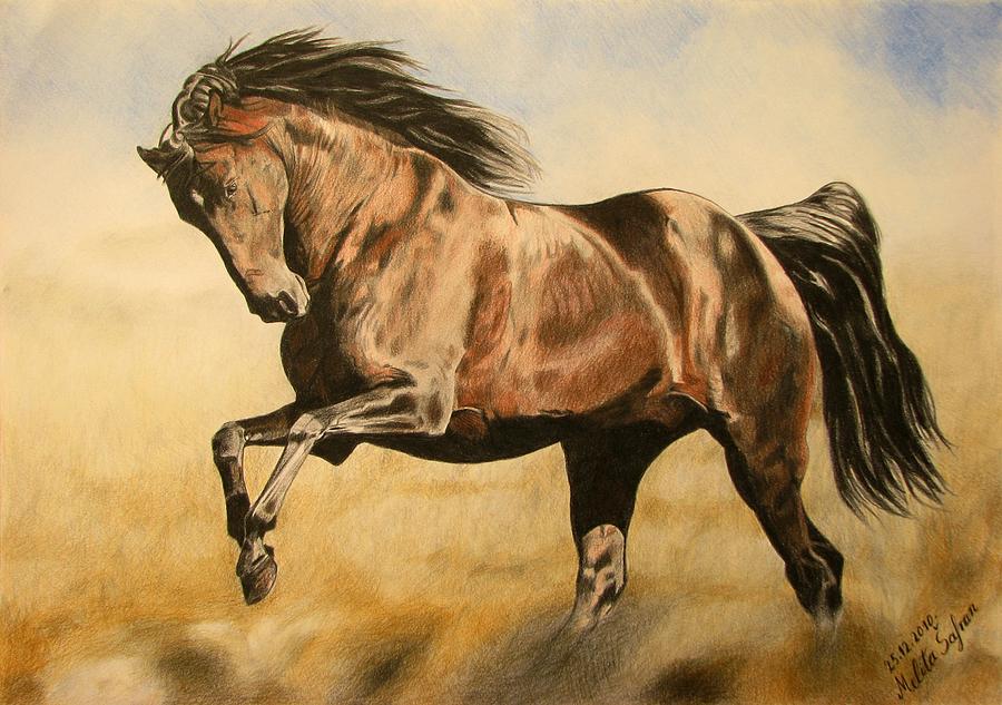 900x633 Morning Game Drawing - Horse Drawing Game