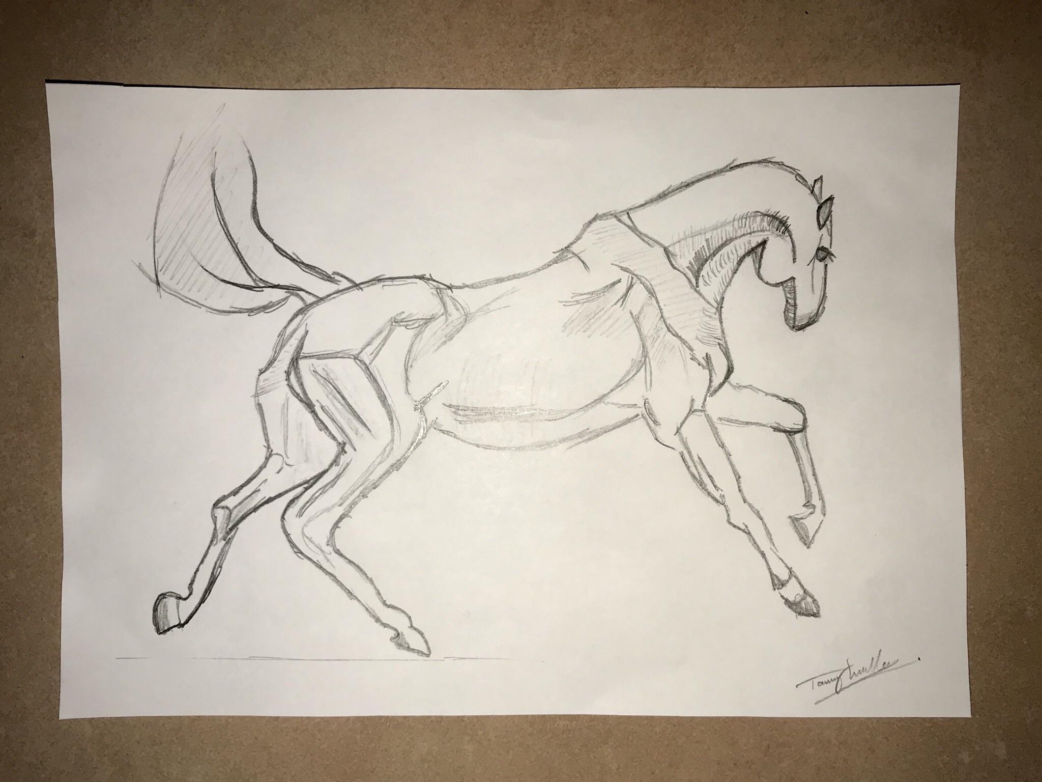 2048x1536  - Horse Drawing Game