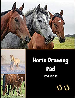 260x336 horse drawing pad for kids sketch, color and draw horses, ponies - Horse Drawing Images