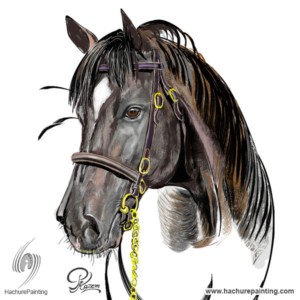 600x600 horse drawing package tutorial - Horse Drawing Images