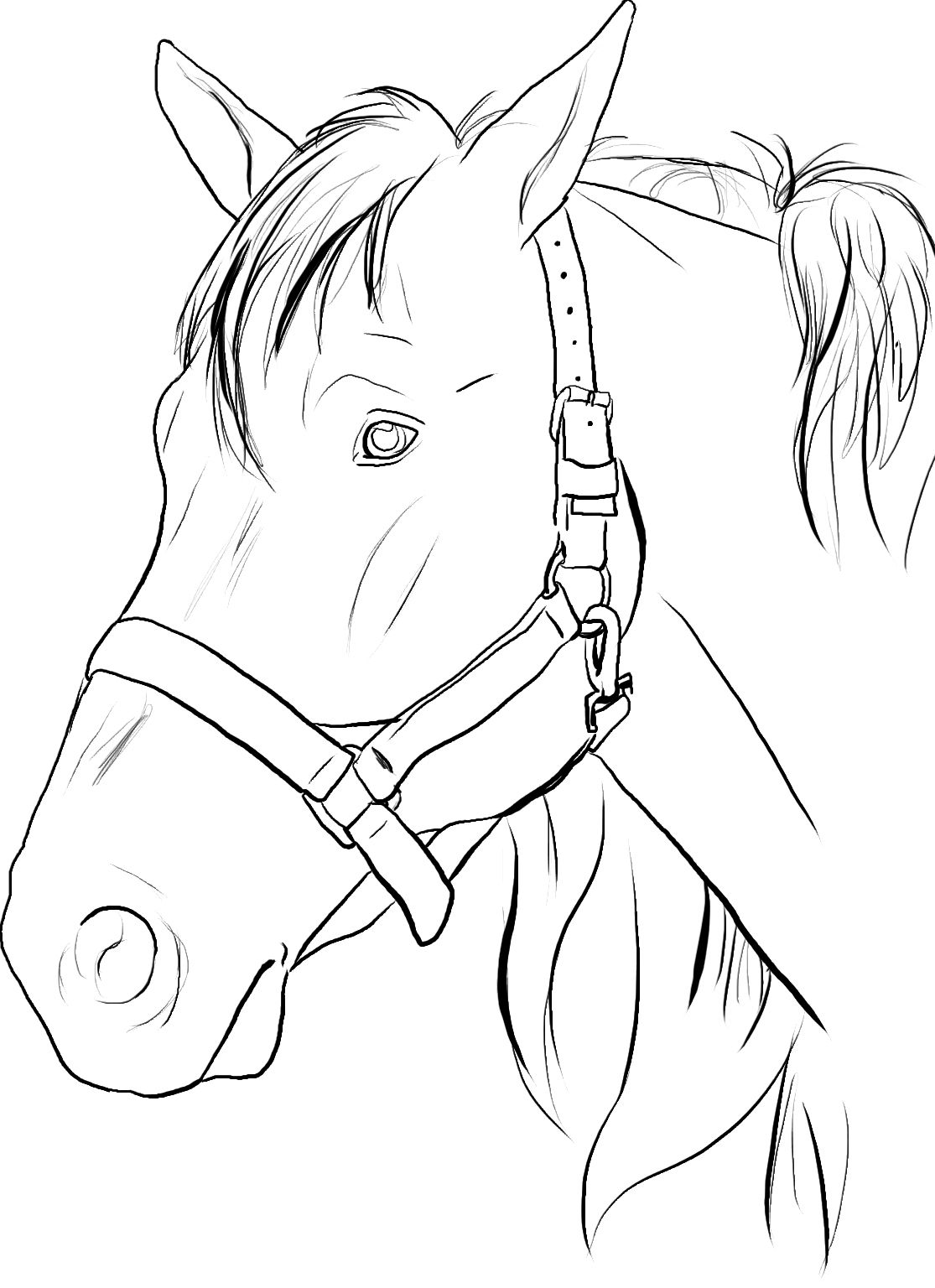 1115x1536 horse coloring pages crafts for kids horse coloring pages - Horse Drawing Pages