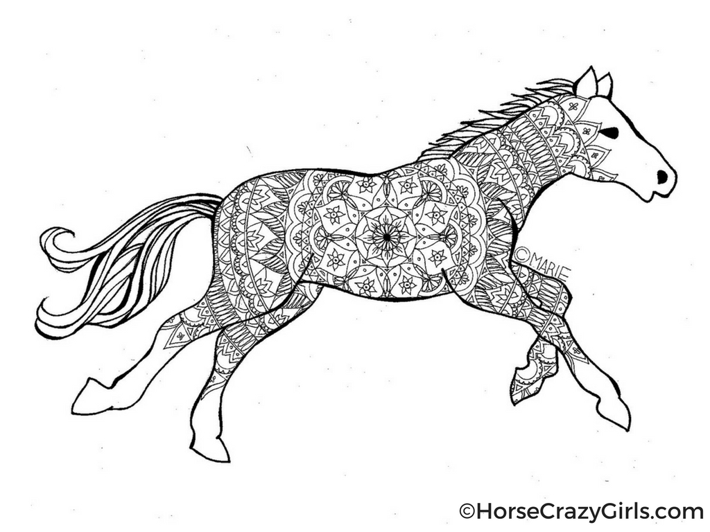 1024x768 Horse Coloring Pages And Printables - Horse Drawing Pages