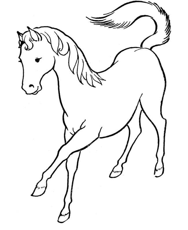 650x796 Horse Template - Horse Drawing Pages