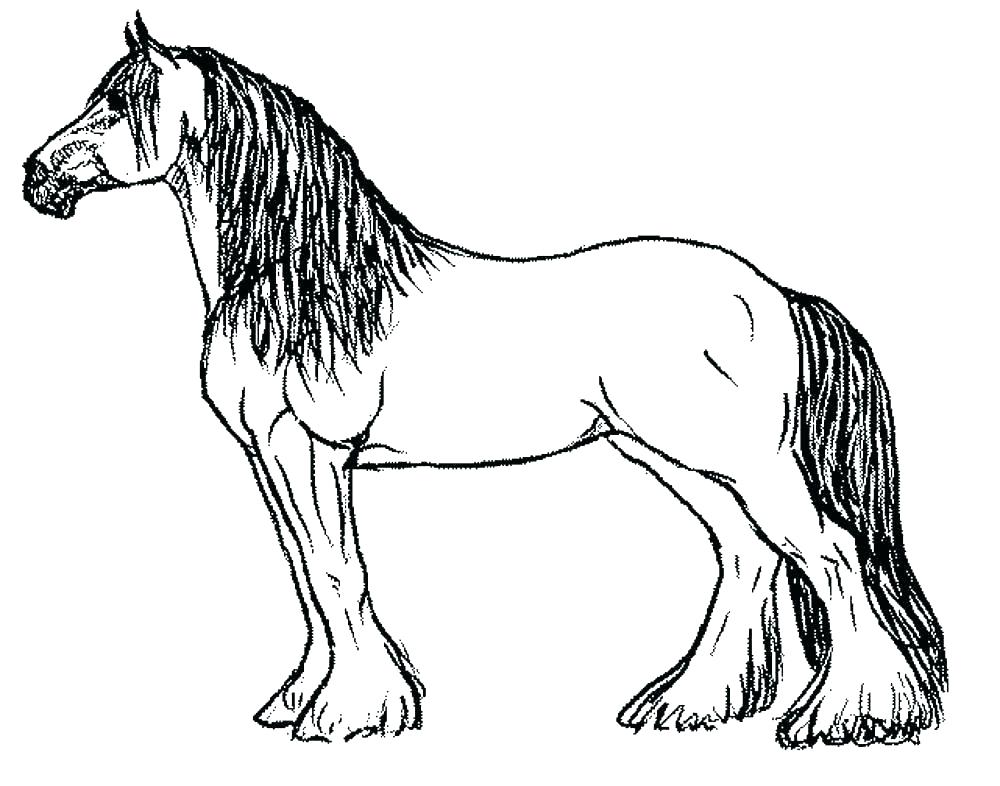 1000x786 Horses Coloring Pages Galloping Horse - Horse Drawing Pages