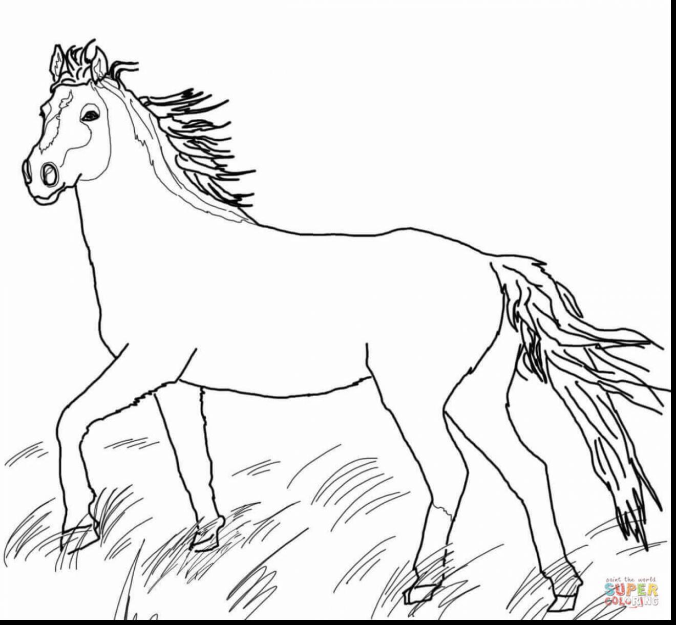 1320x1221 Realistic Horse Drawing At Getdrawings Com Free For Personal Use - Horse Drawing Pages