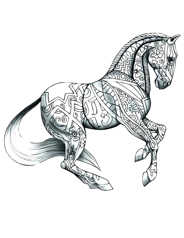 736x952 Spirit Horse Drawing At Com Free For Personal Use Color Pages - Horse Drawing Pages