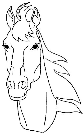 350x557 Horse Coloring Pages Colouringcoloring Freebie Pages - Horse Drawing Pages