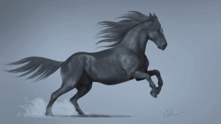 320x180 How To Draw A Horse Creative Bloq - Horse Drawing Pics