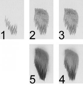 283x302 How To Draw A Realistic Horse, Step - Horse Drawing Realistic