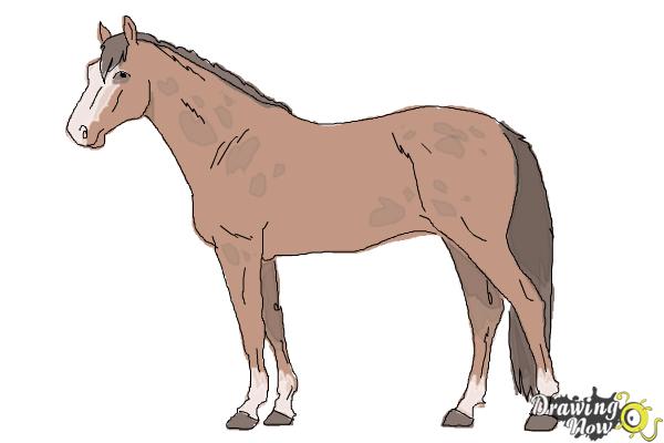 600x400 How To Draw A Realistic Horse - Horse Drawing Realistic