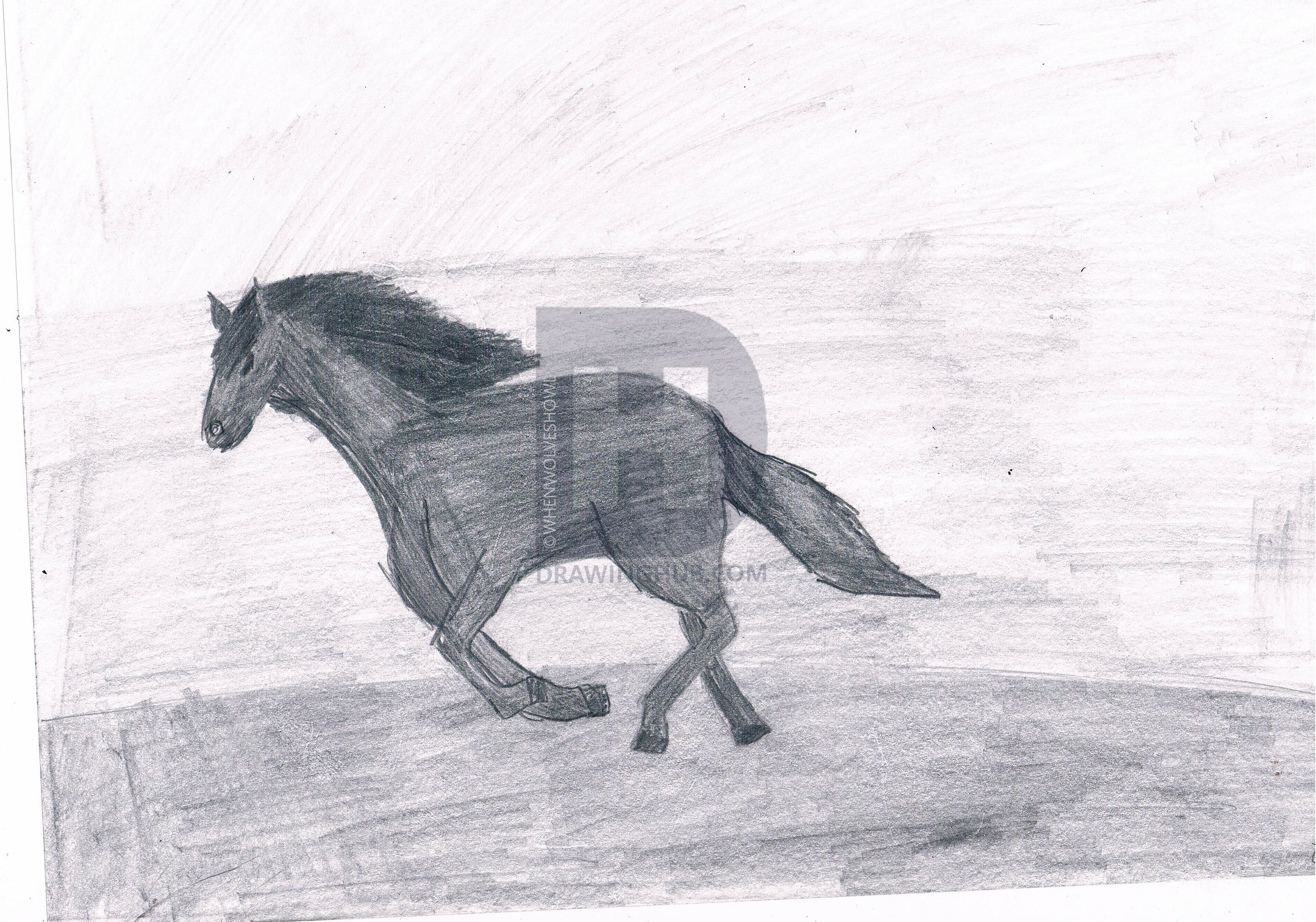 3437x2409 how to draw running horse, step - Horse Drawing Running