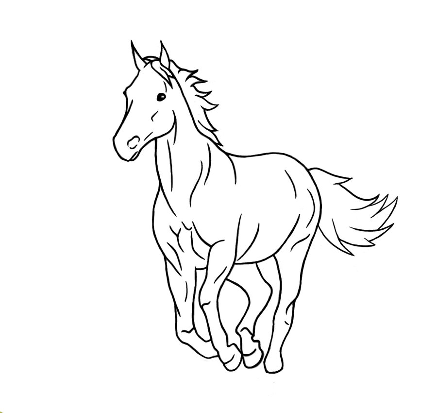 900x850 running horse drawing - Horse Drawing Running