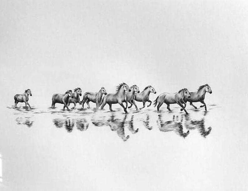 794x613 Wild Horses Running Art Wild Horses Drawing Charcoal White Etsy - Horse Drawing Running