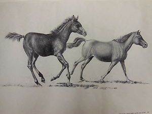 300x225 vintage lithograph print running horses drawing - Horse Drawing Running