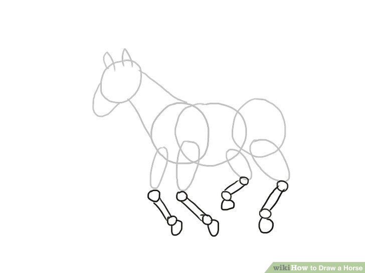 Horse Drawing Step By Step