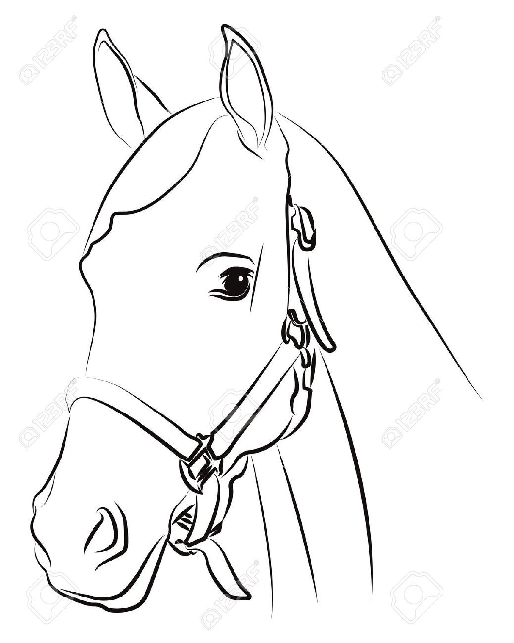 1039x1300 Horse Head Drawing Step - Horse Drawing Step By Step