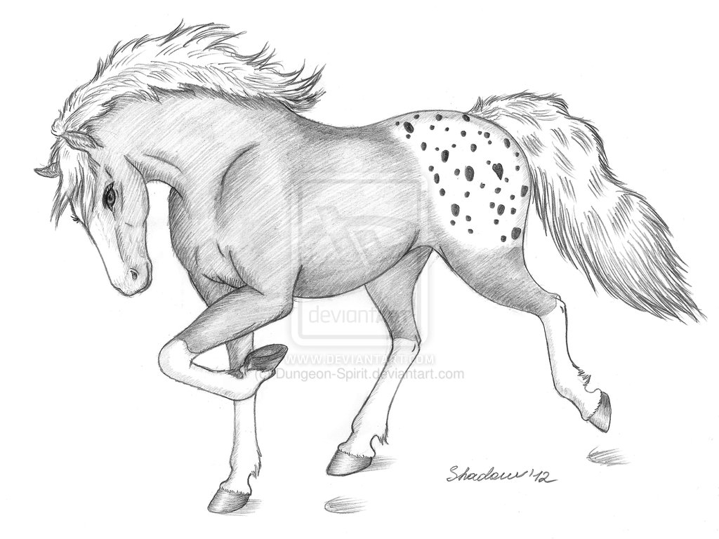 1024x768 Horses Drawings In Pencil Step - Horse Drawing Step By Step