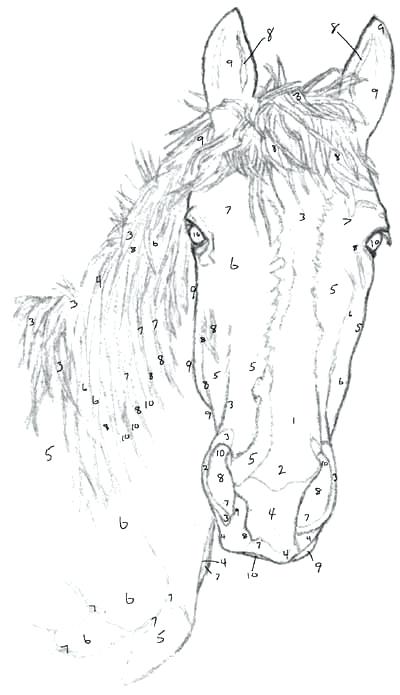 400x695 How To Draw A Horse With How To Draw A Horse For Make Perfect - Horse Drawing Step By Step