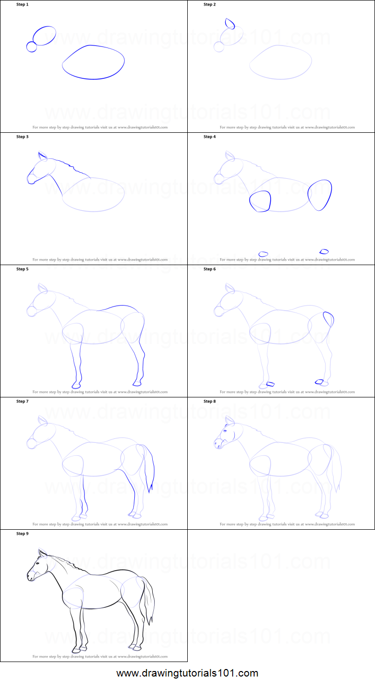 751x1376 How To Draw A Horse Printable Step - Horse Drawing Step By Step