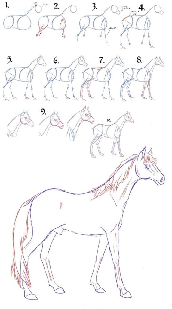572x1024 Easy Step - Horse Drawing Step By Step
