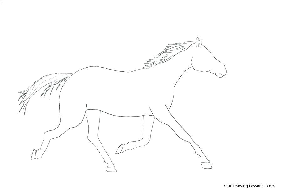900x616 horse drawing steps little horse painting horse draw and doodles - Horse Drawing Step By Step