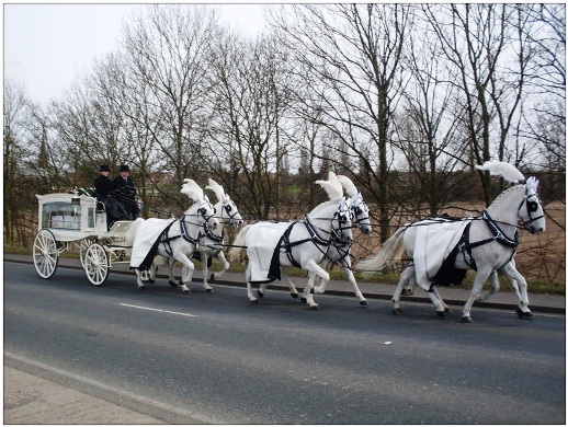 518x390 horse drawn funeral carriages funeral services guide - Horse Drawn Carriage Drawing