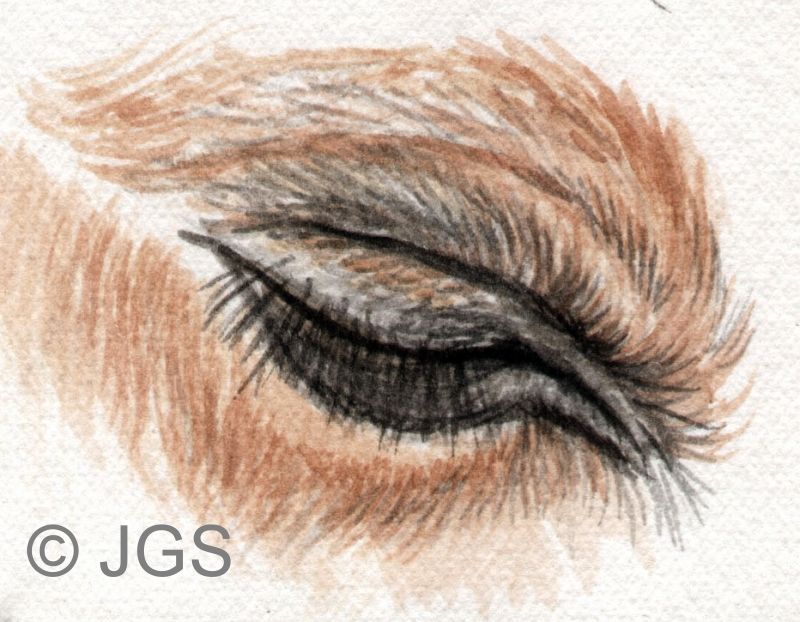 800x622 How Can You Draw Horse Eyes With Colored Pencils - Horse Eye Drawing