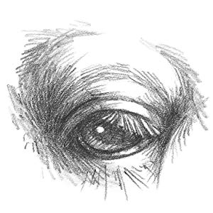 300x300 art studio horses ponies more than projects and techniques - Horse Eye Drawing