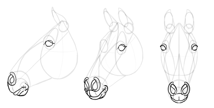 700x353 How To Draw Horses Step - Horse Eye Drawing