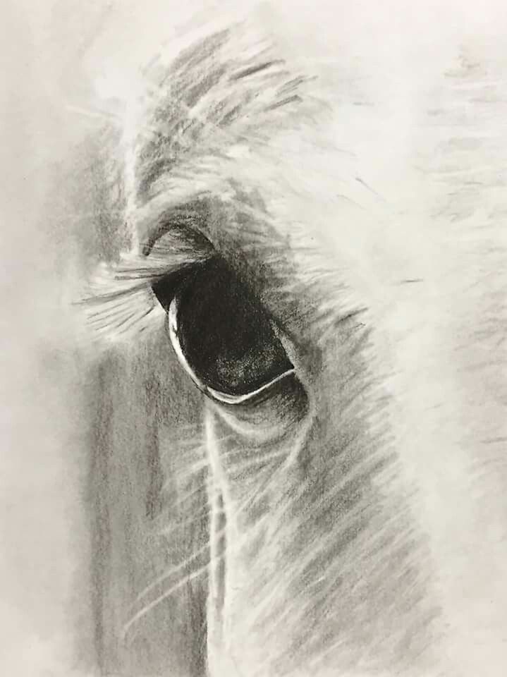 719x960 Large Horseeyes Artworkbold The Better In Horse Artwork - Horse Eye Drawing
